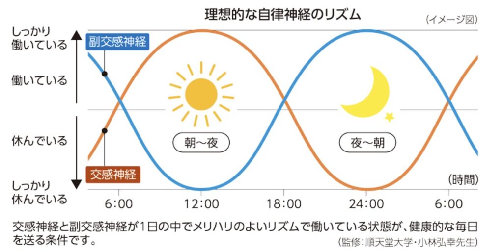 見えない部分を”みえる化”する２日間：ヨガセラ主催 自律神経講座